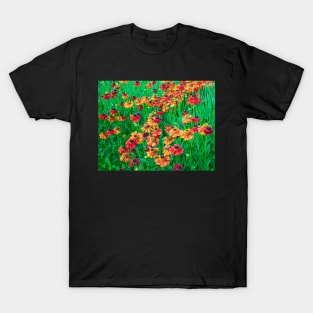 Cheery Red and Orange Helenium Flowers T-Shirt